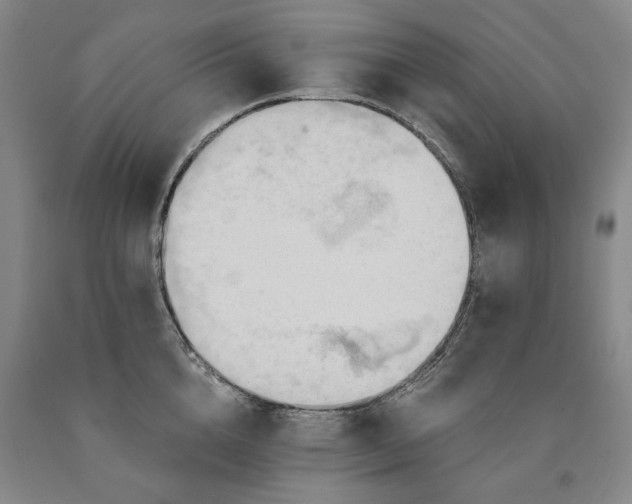 X0000090910856200707301432