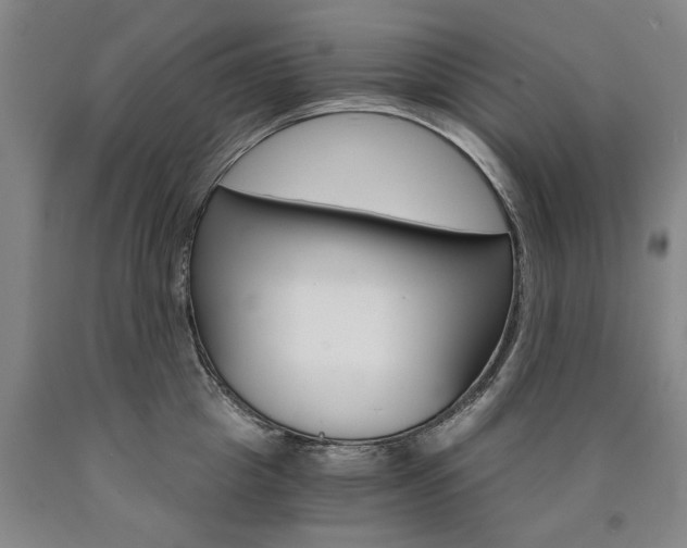 X0000090910857200707301432