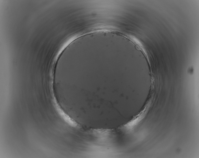 X0000090910859200707301432