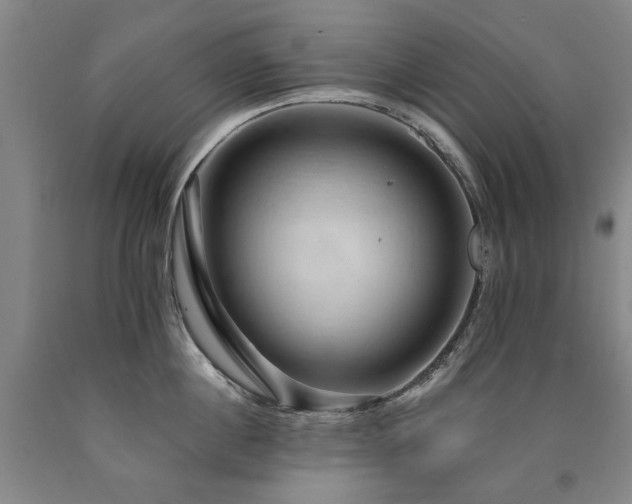 X0000090910860200707301433