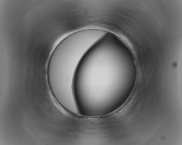 X0000090910862200707301433