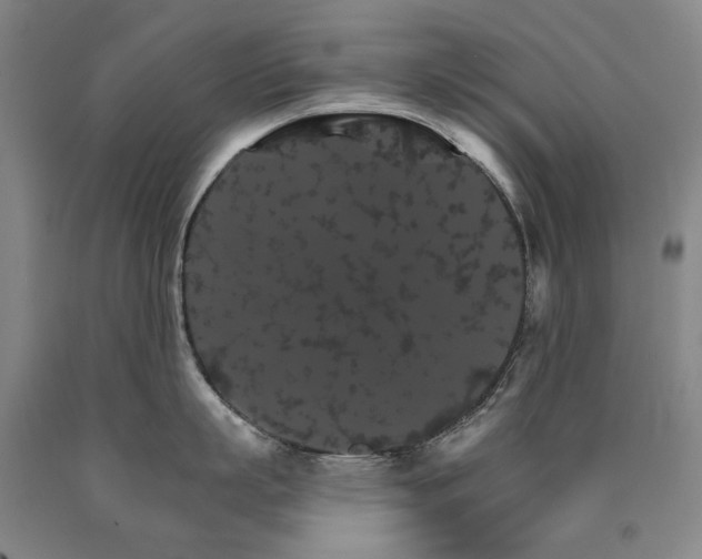 X0000090910863200707301433