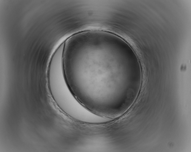 X0000090910864200707301433