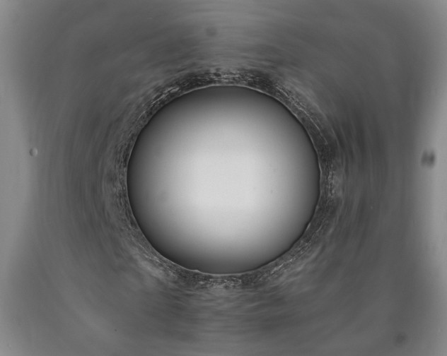 X0000090910865200707301432