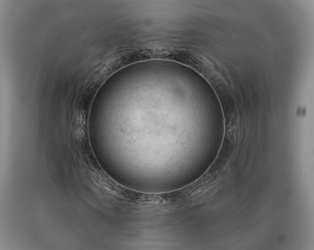 X0000090910866200707301432