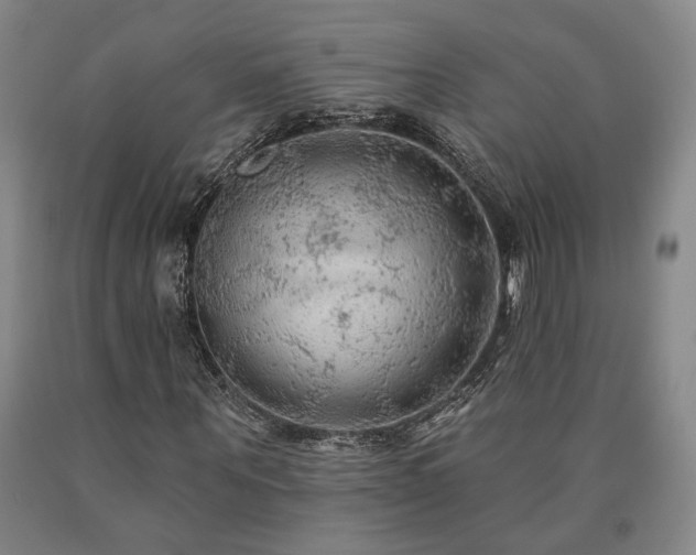 X0000090910867200707301432