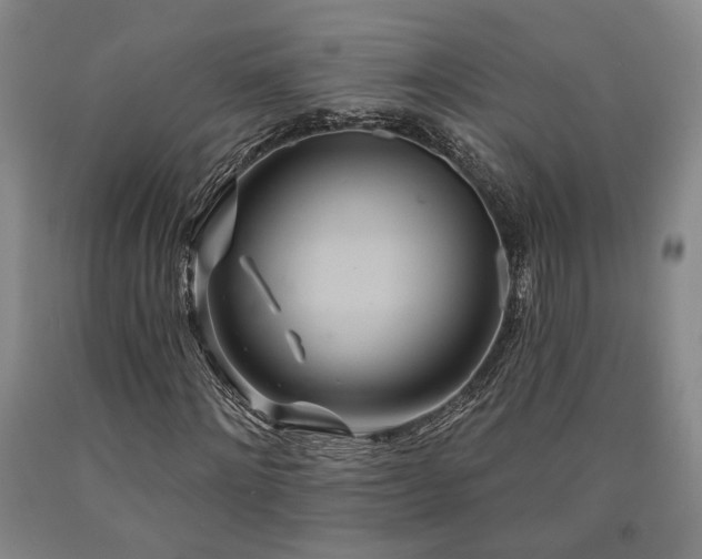 X0000090910868200707301432