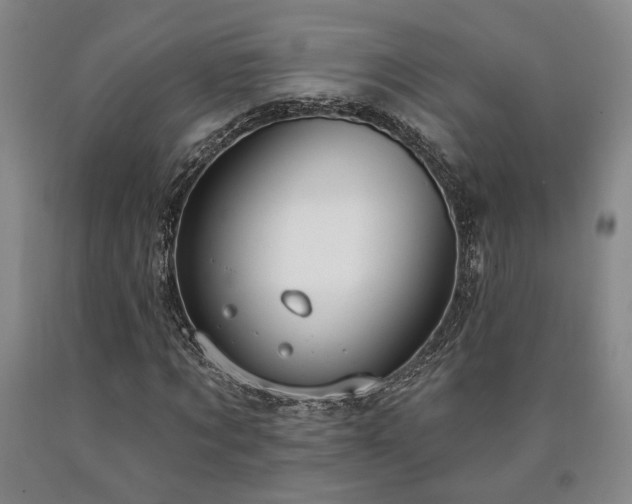 X0000090910869200707301432