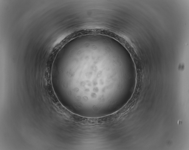 X0000090910871200707301432