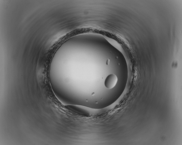 X0000090910872200707301432