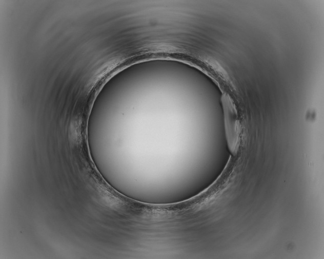 X0000090910873200707301432