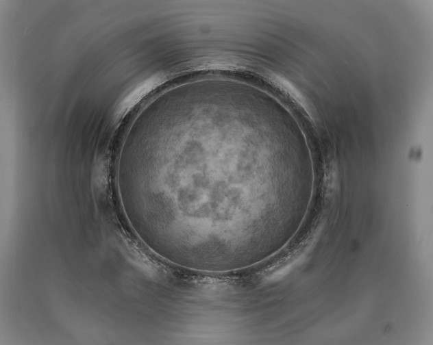 X0000090910874200707301432