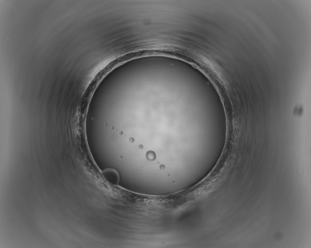 X0000090910875200707301432