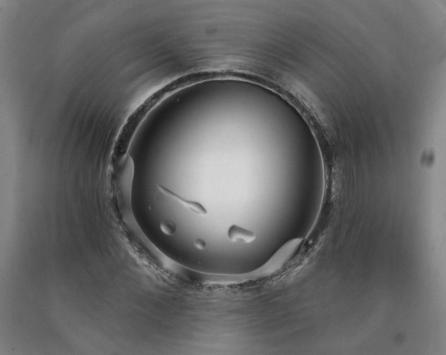 X0000090910876200707301432