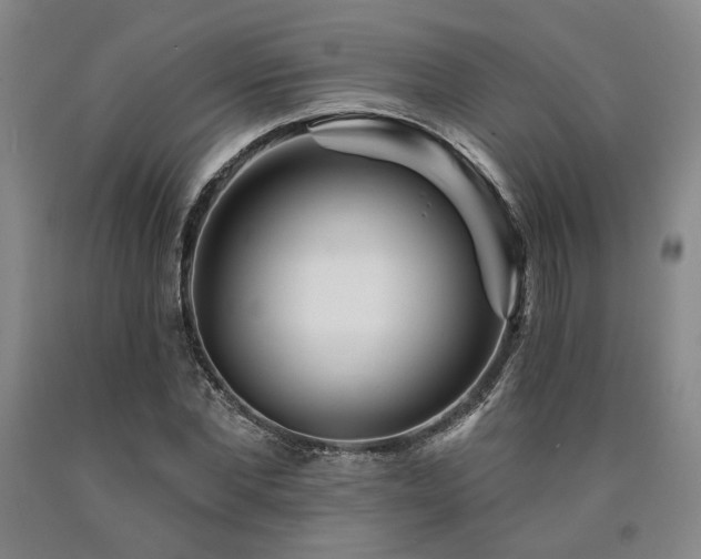 X0000090910877200707301432