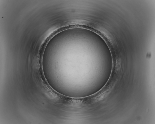 X0000090910878200707301432