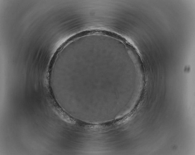 X0000090910879200707301432