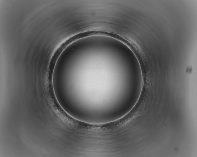 X0000090910880200707301432