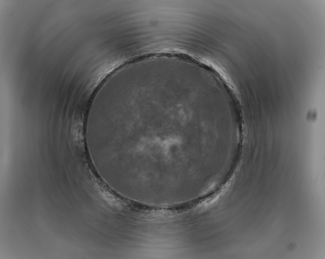 X0000090910881200707301432