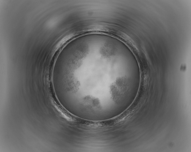 X0000090910882200707301432