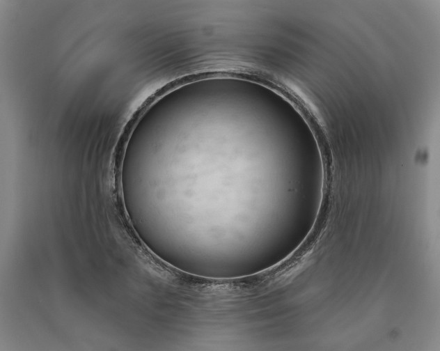 X0000090910883200707301432