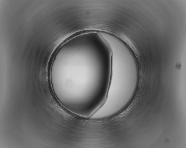 X0000090910884200707301432