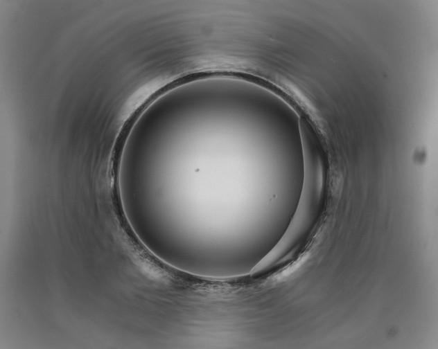 X0000090910885200707301432