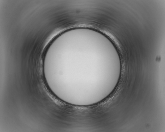 X0000090910886200707301432