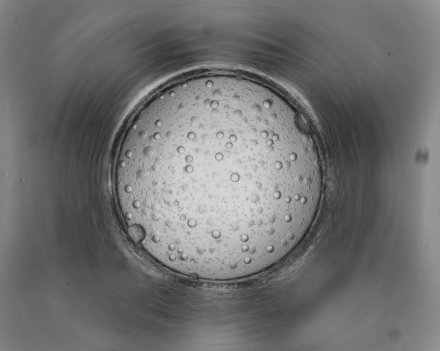 X0000090910887200707301431