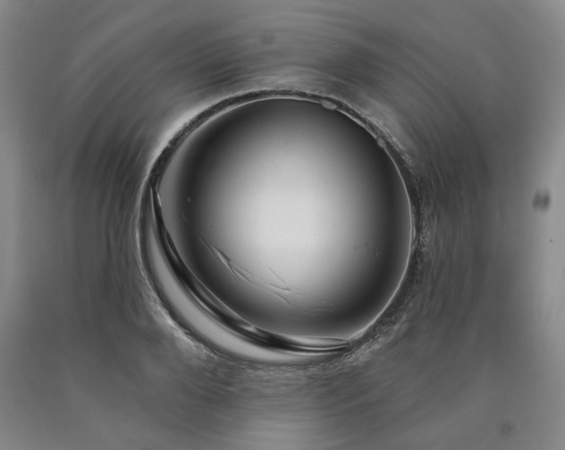 X0000090910888200707301431