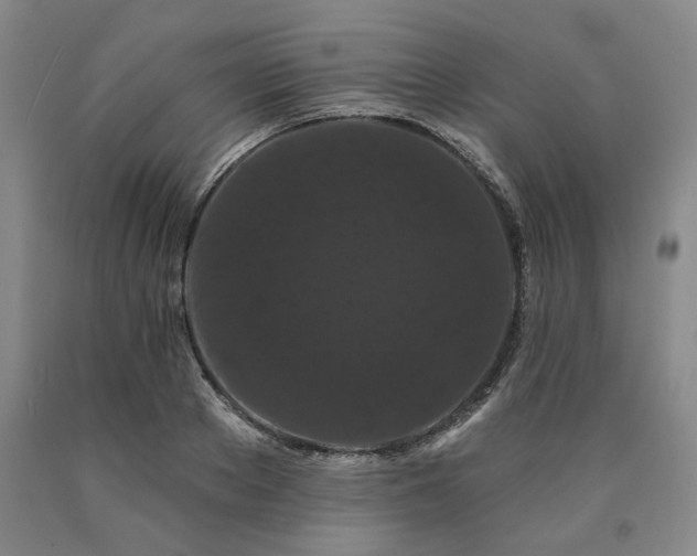 X0000090910889200707301431