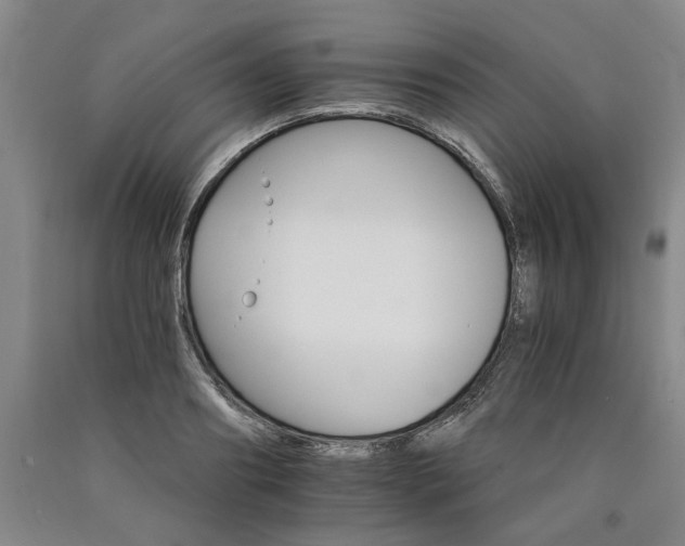 X0000090910890200707301431