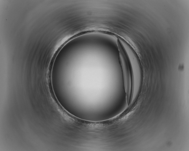 X0000090910893200707301431