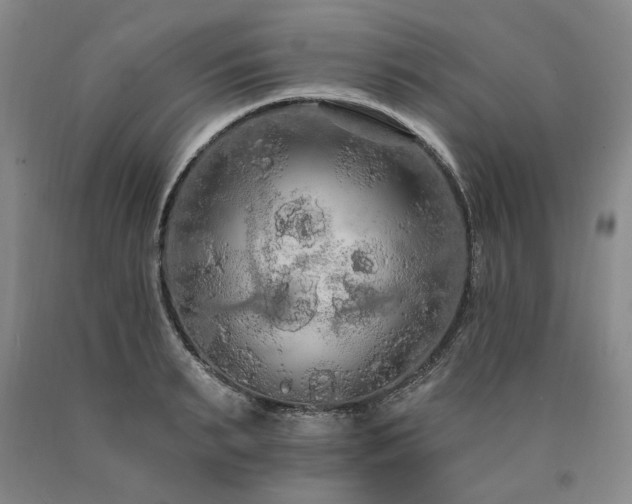 X0000090910895200707301431