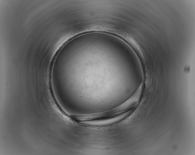 X0000090910896200707301431