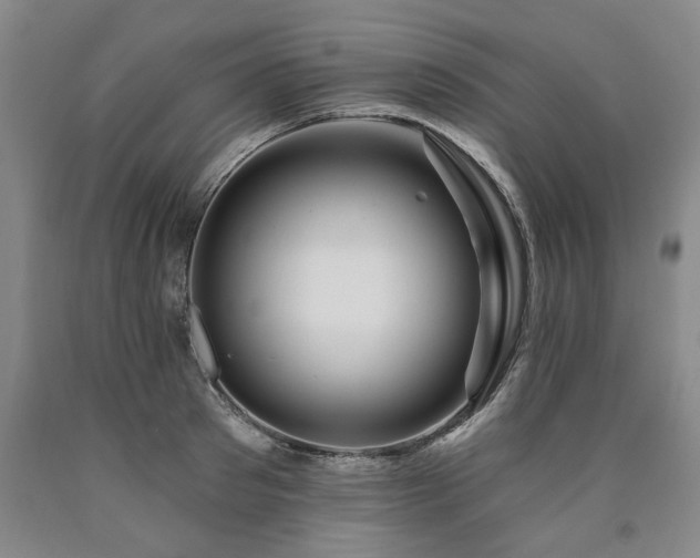 X0000090910897200707301431