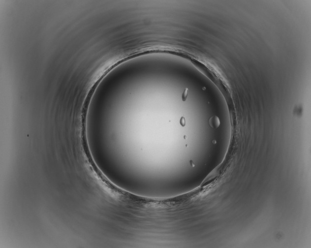 X0000090910898200707301431