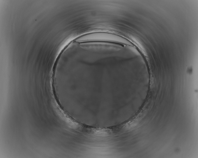 X0000090910899200707301431