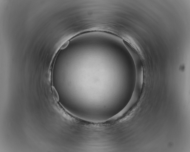 X0000090910900200707301431