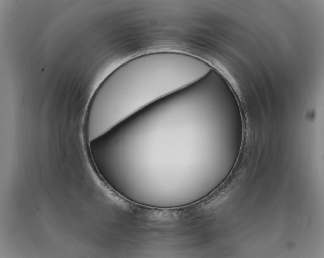 X0000090910901200707301431