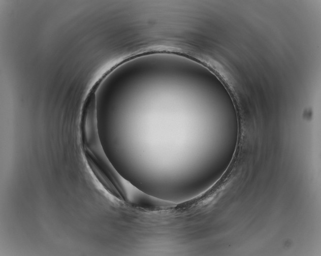 X0000090910902200707301431