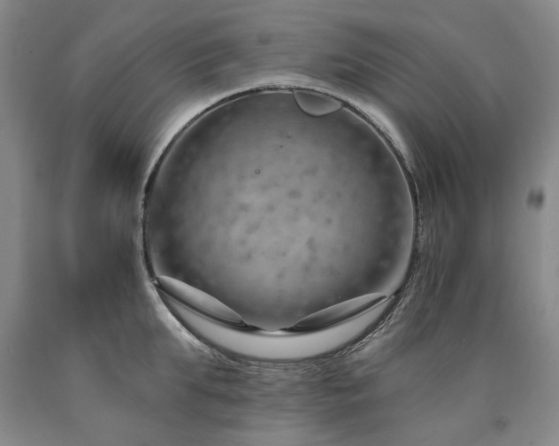 X0000090910903200707301431