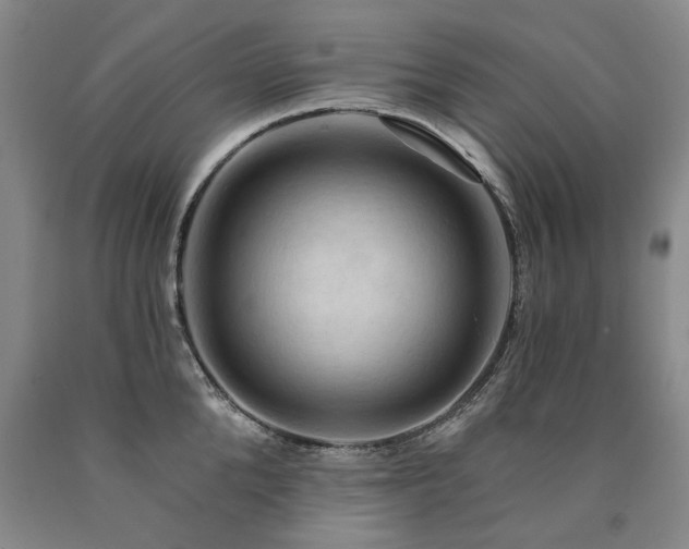 X0000090910904200707301431