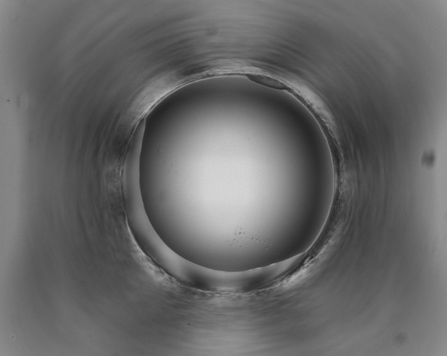 X0000090910905200707301431