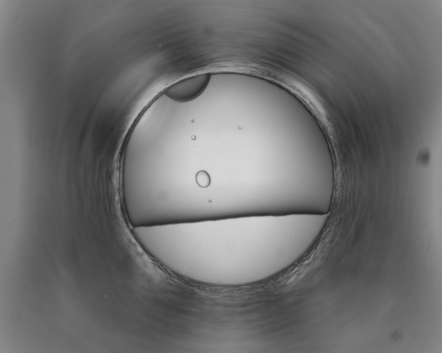 X0000090910907200707301431