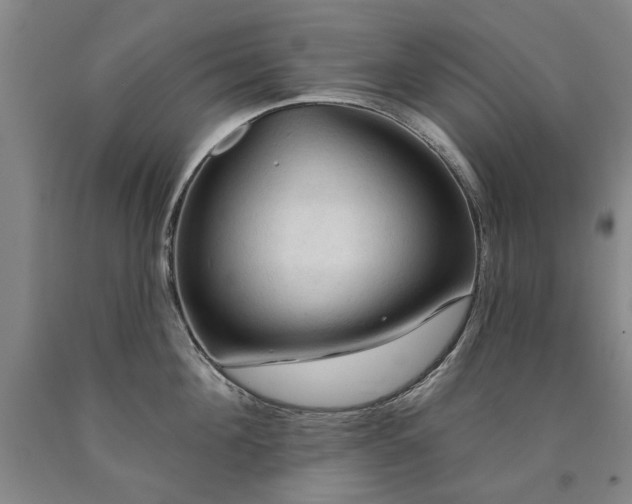 X0000090910908200707301431