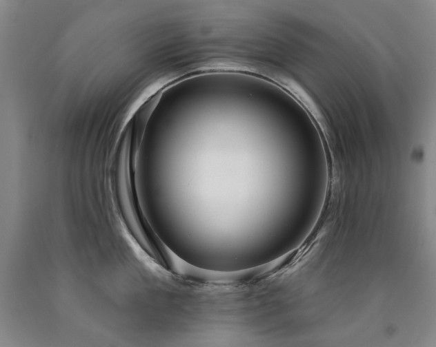 X0000090910909200707301431