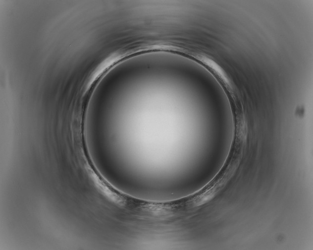 X0000090910910200707301431