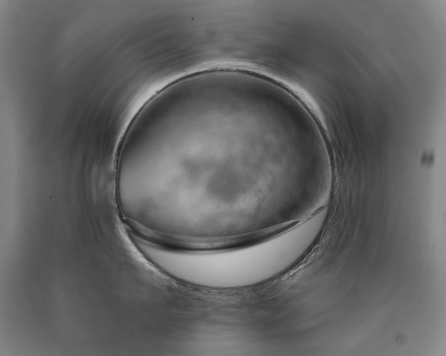 X0000090910911200707301431