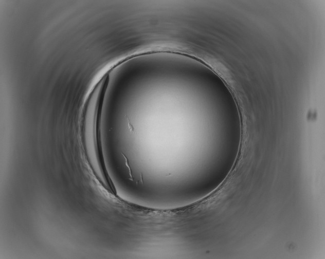 X0000090910912200707301431